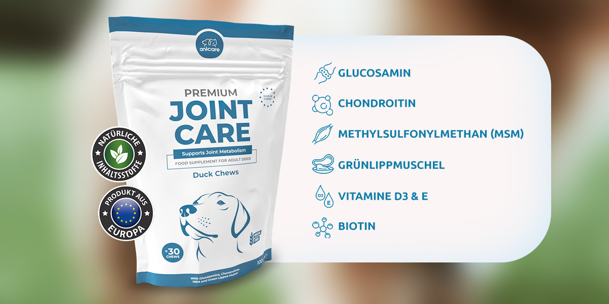 auf der linken Seite Verpackung Premium Joint Care, auf der rechten Seite die enthaltenen Inhaltsstoffe: Glucosamin, Chondroitin, MSM, Grünlippmuschel, Vitamin D3 & E, Biotin