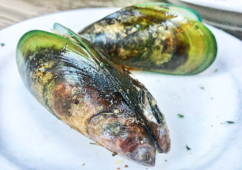 Grünlippenmuscheln