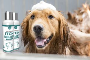 Anicare Itch Shampoo