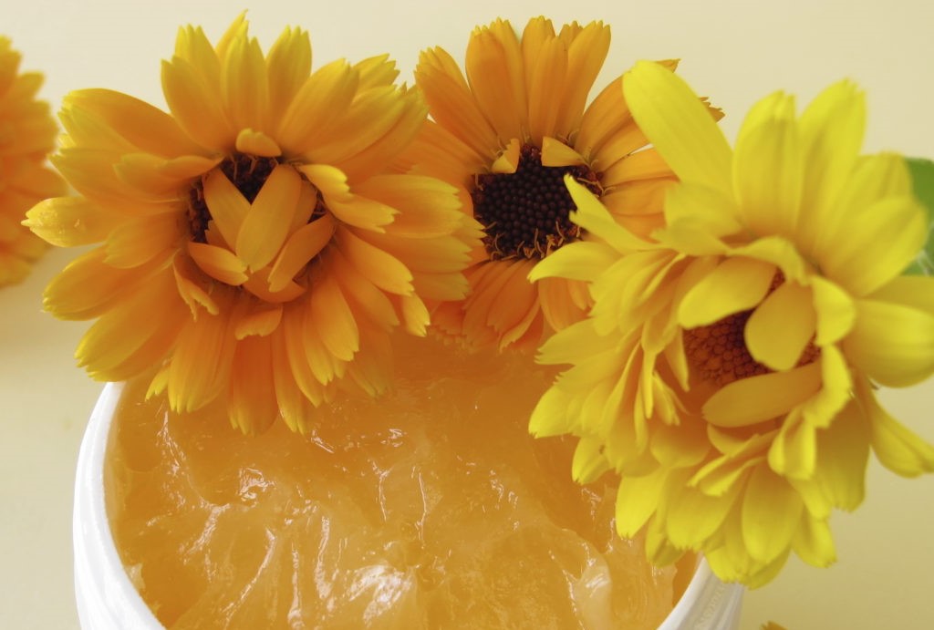 Calendula / Ringelblume