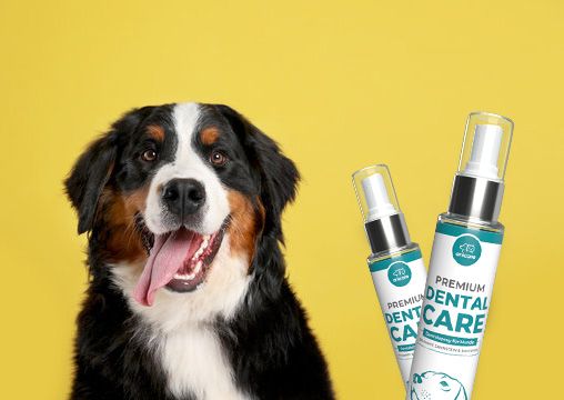 Hund mit Anicare Dental Spray