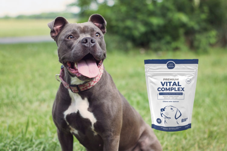 Hund neben Premium vital complex