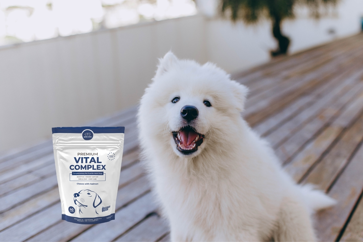 Anicare Premium Vital Comlex und Hund