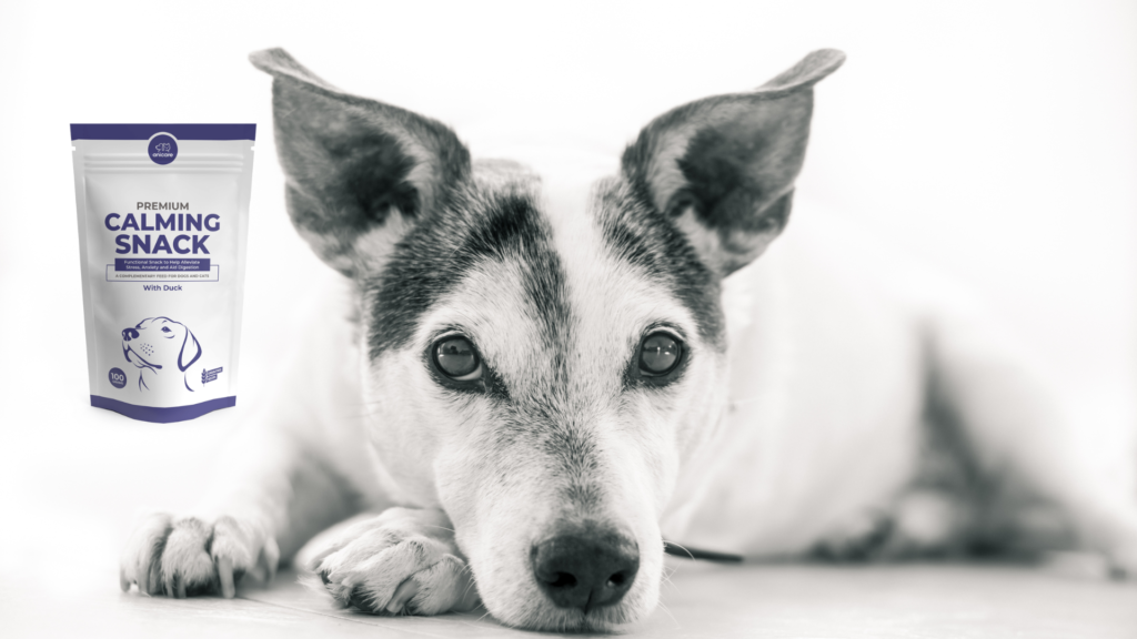 Ein Blick auf den Hersteller - Premium Calming Snack