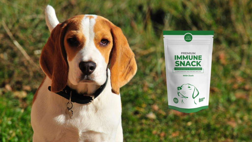 2. MOS und FOS - Premium Immune Snack